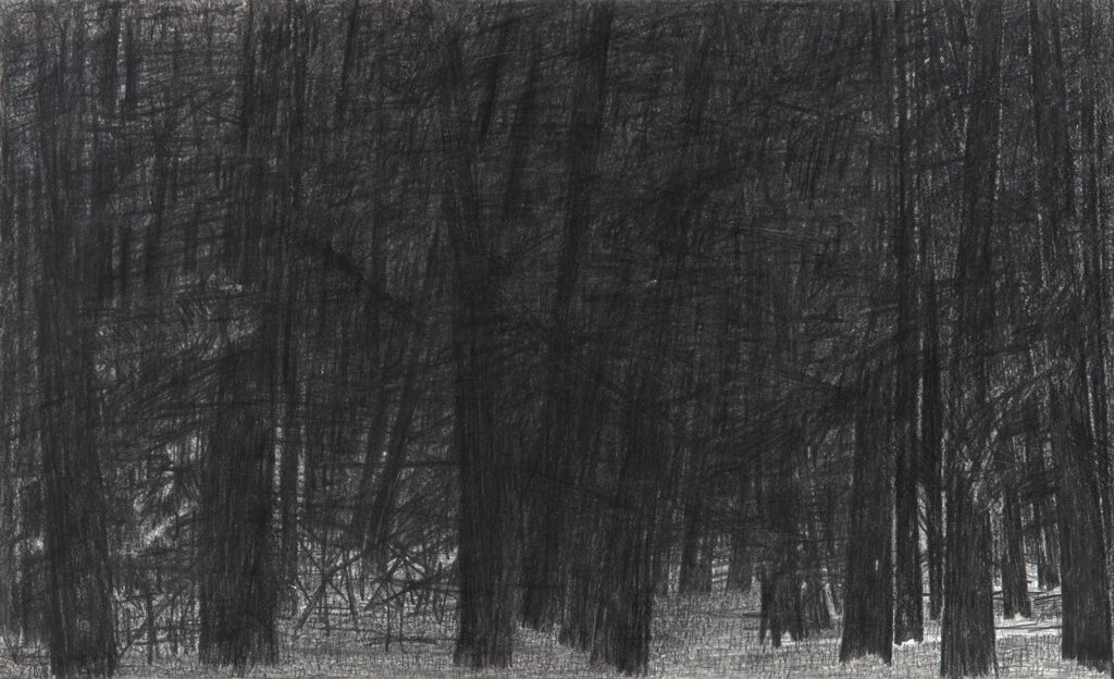 Тара, 2002, графит и пастел на папиру